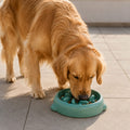 Comedero lento antiatragantamiento para perros Gossovia, fabricado en PP libre de BPA